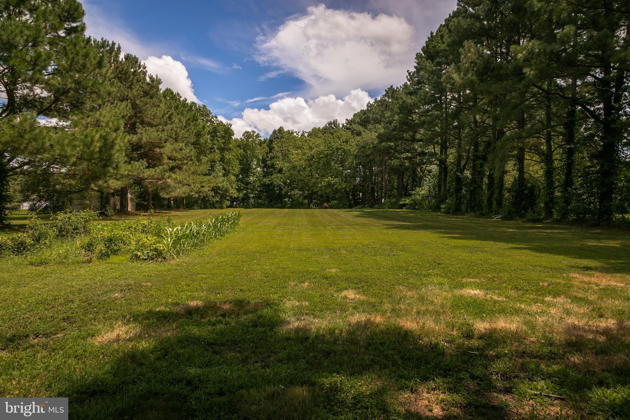 7523 Walston Switch Road Parsonsburg, MD 21849 - Photo 3 of 50 Gallery Image 3