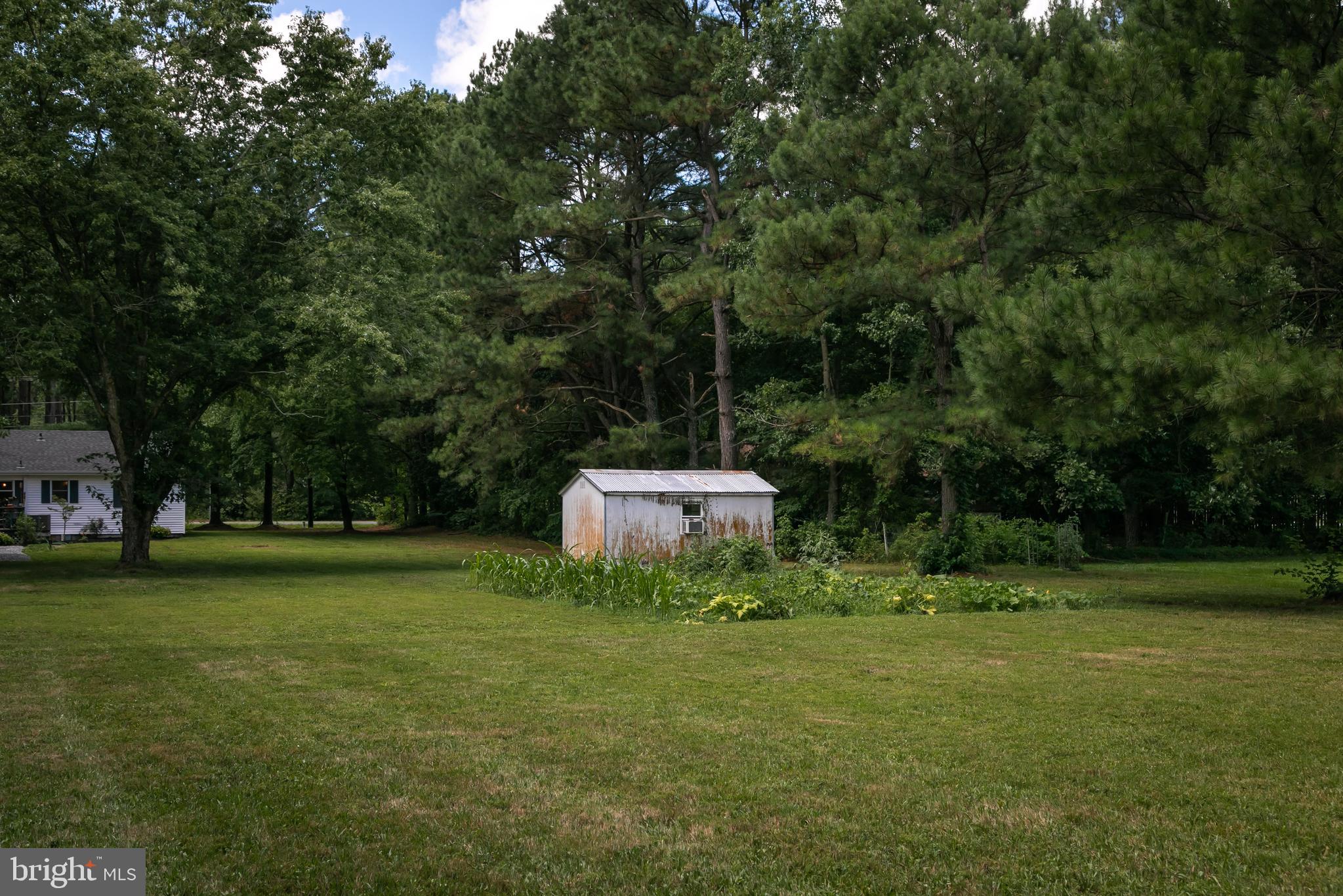 7523 Walston Switch Road Parsonsburg, MD 21849 - Photo 4 of 50 Gallery Image 4