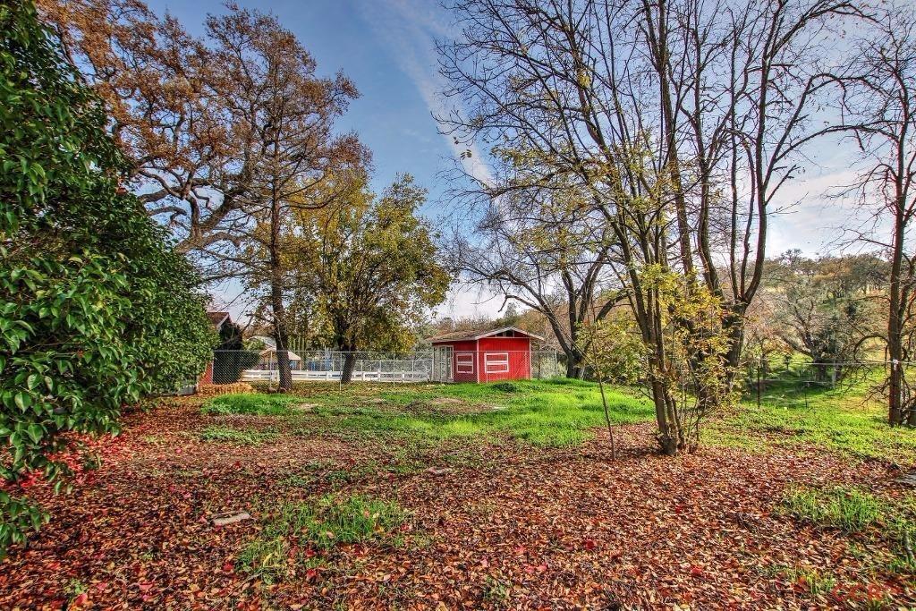 12275 Alondra Road Atascadero, CA 93422 - Photo 14 of 25 a view of a park with large trees