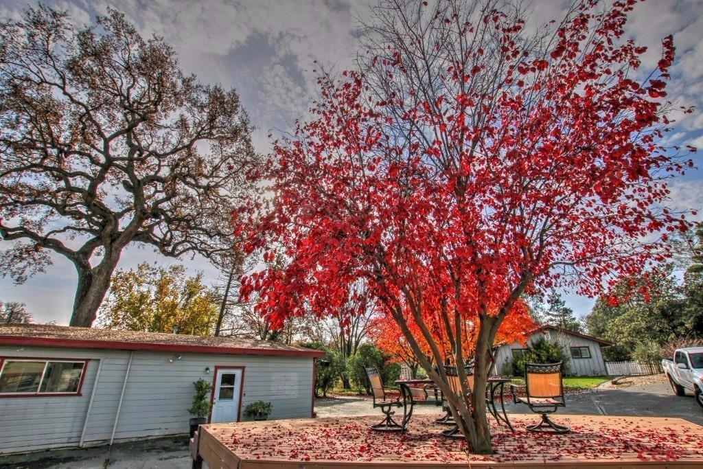 12275 Alondra Road Atascadero, CA 93422 - Photo 17 of 25 a backyard of a house with table and chairs
