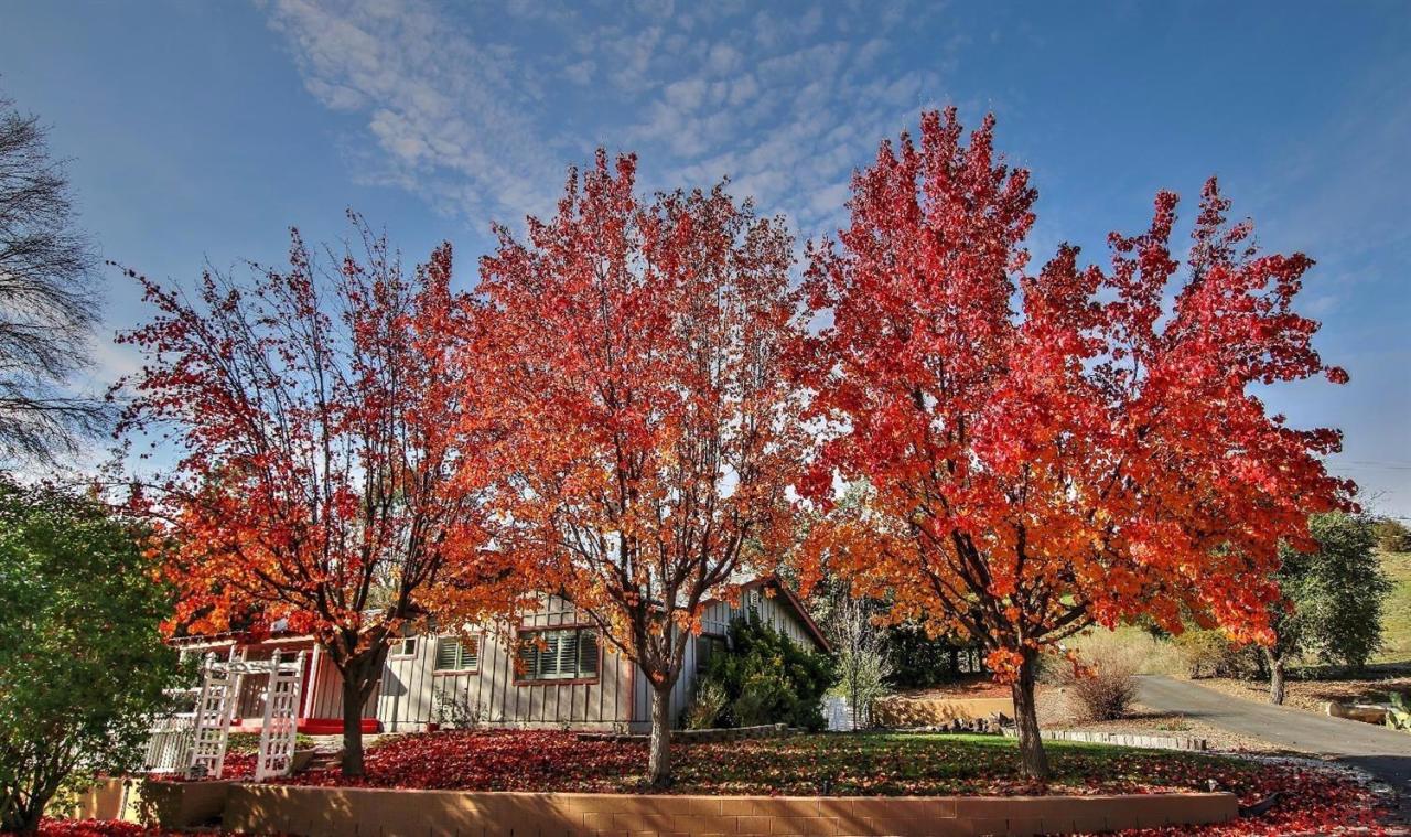 12275 Alondra Road Atascadero, CA 93422 - Photo 2 of 25