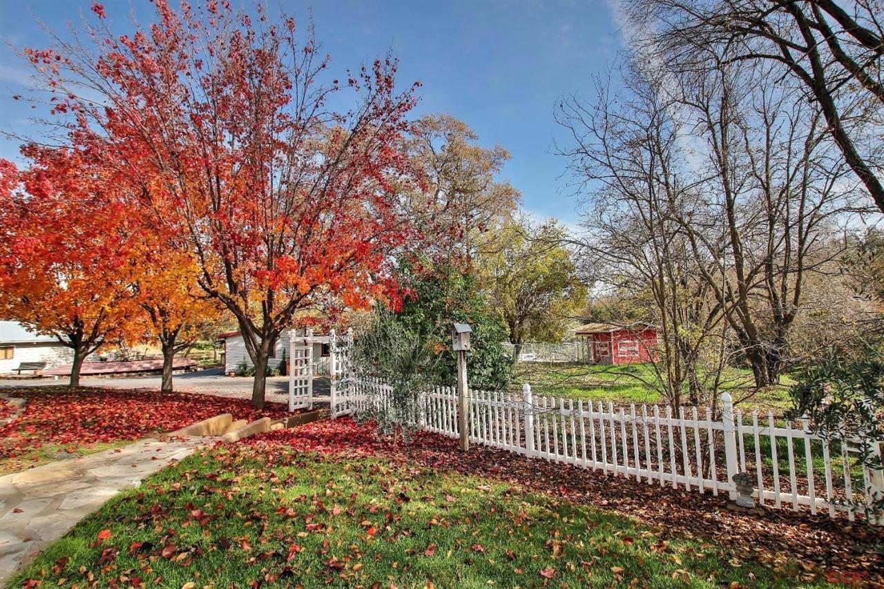 12275 Alondra Road Atascadero, CA 93422 - Photo 10 of 25 a view of a park with large trees
