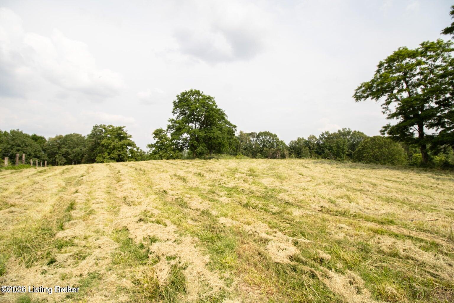 0 Summit-Eastview Road Eastview, KY 42732 - Photo 7 of 17 9