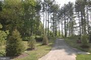 11103 Rodeo Court Upper Marlboro, MD 20772 - Photo 12 of 15 a view of forest