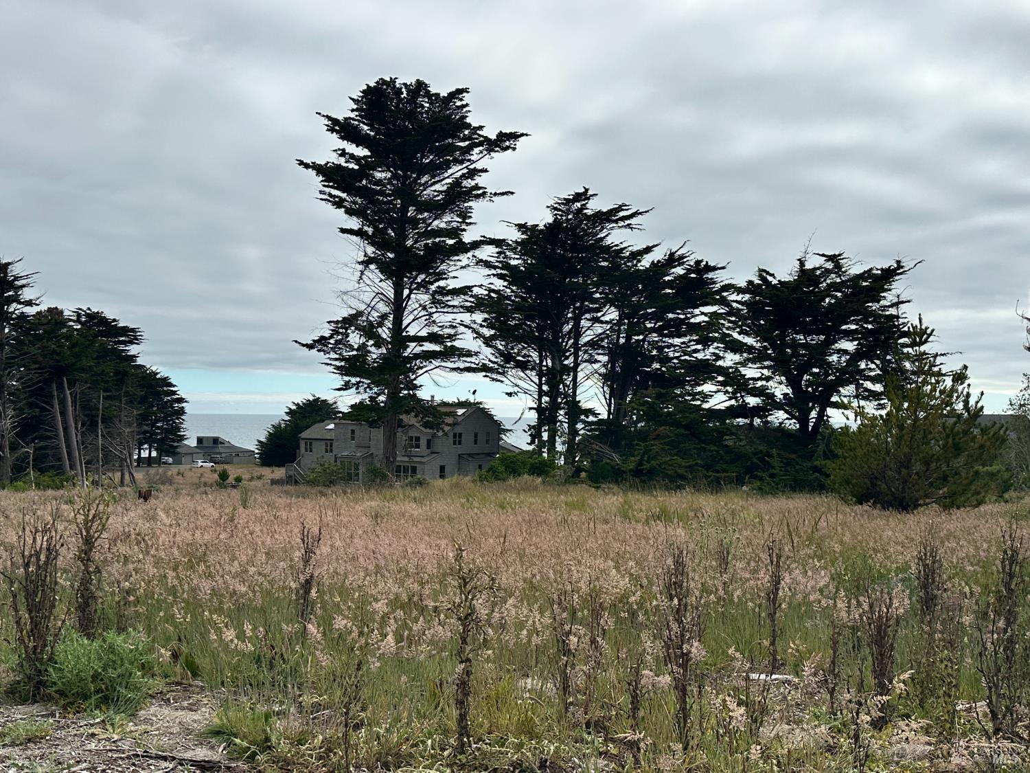 135 Shepherds Close The Sea Ranch, CA 95497 - Photo 33 of 34