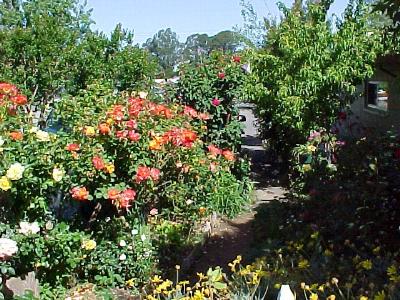 1630 Allan Way Santa Rosa, CA 95404 - Photo 3 of 3 Gallery Image 3