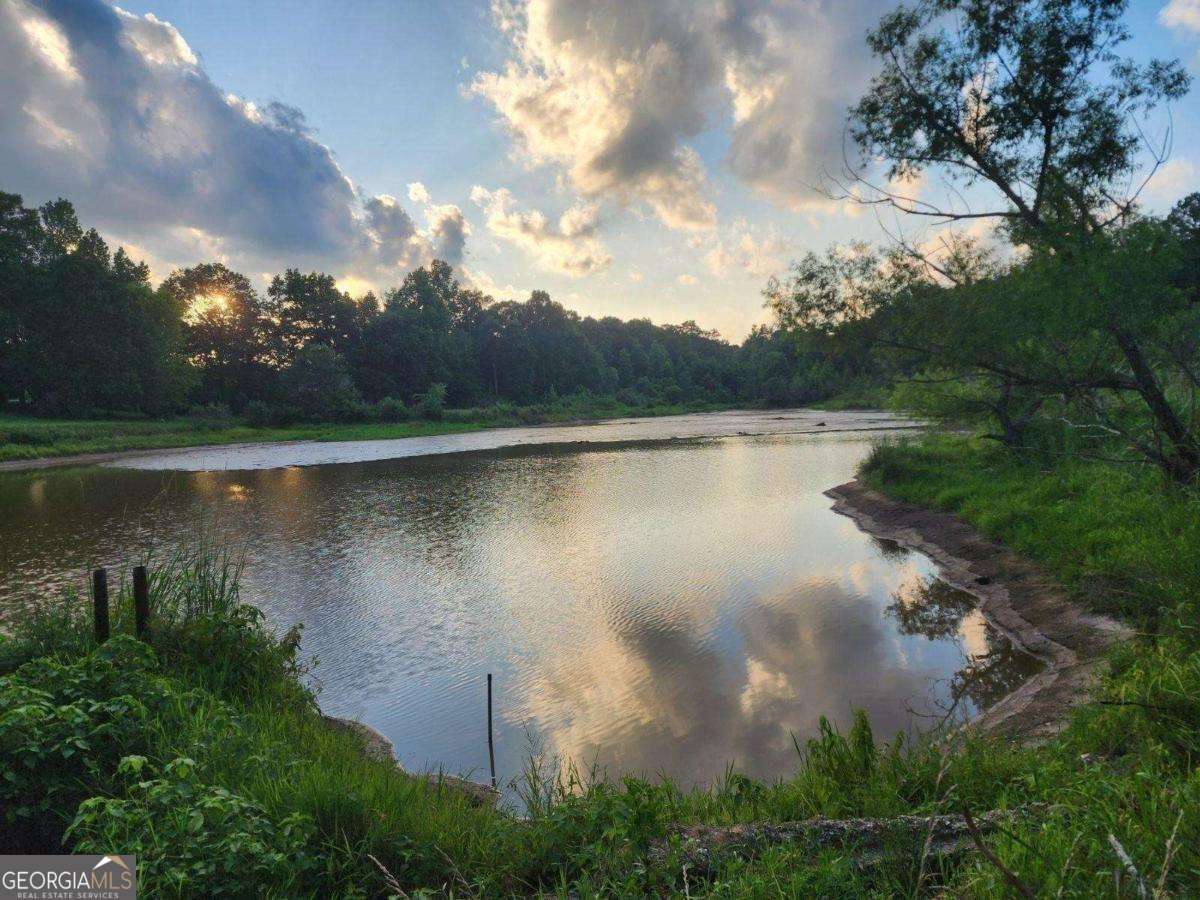 120 Bridgemill Drive Hampton, GA 30228 - Photo 1 of 11 a view of a lake from a yard