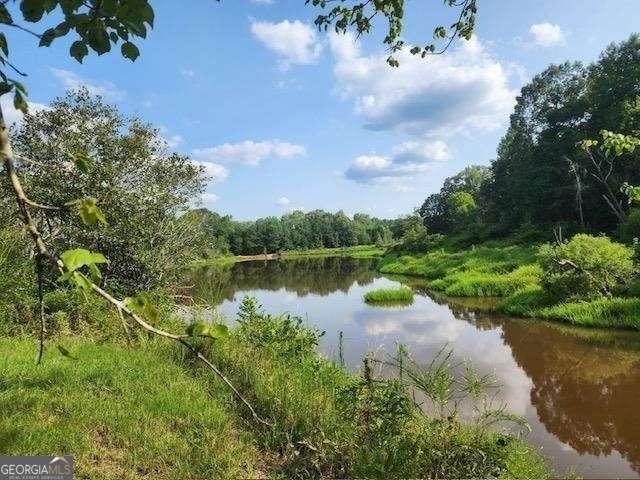 120 Bridgemill Drive Hampton, GA 30228 - Photo 3 of 11 a view of a lake with a yard and potted plants