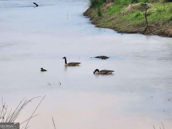 $108,900 | 120 Bridgemill Drive, Hampton, GA 30228