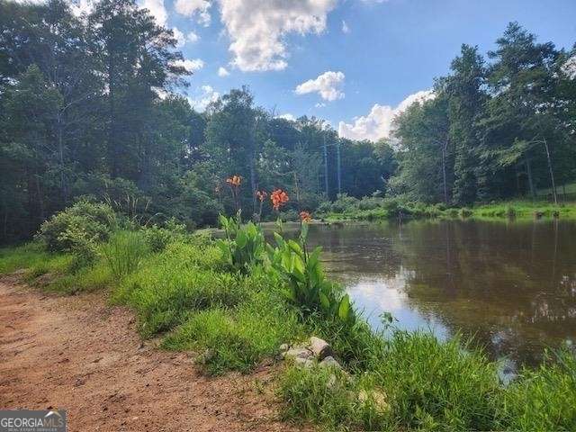 120 Bridgemill Drive Hampton, GA 30228 - Photo 5 of 11 a view of lake