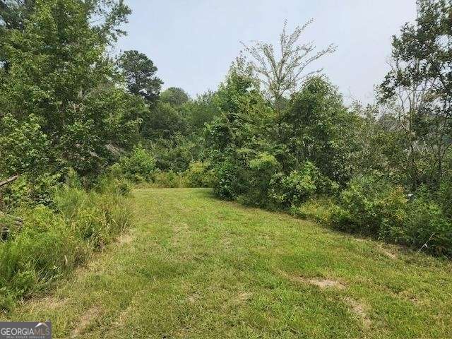 120 Bridgemill Drive Hampton, GA 30228 - Photo 7 of 11 a view of a yard with a tree