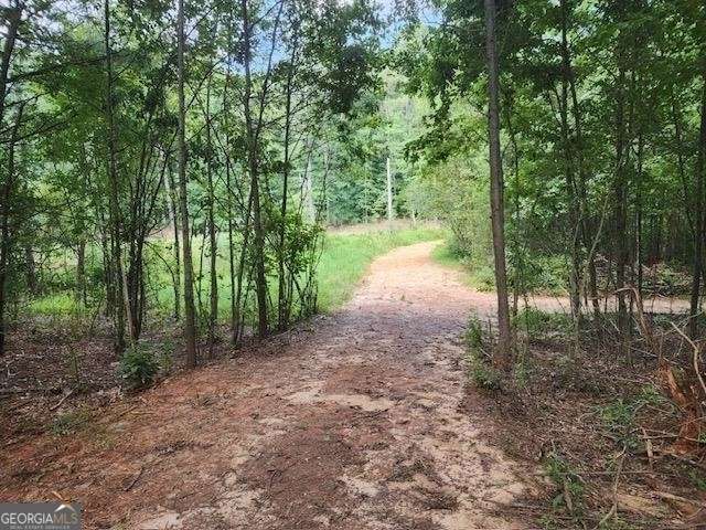 120 Bridgemill Drive Hampton, GA 30228 - Photo 9 of 11 a view of a road with plants and trees