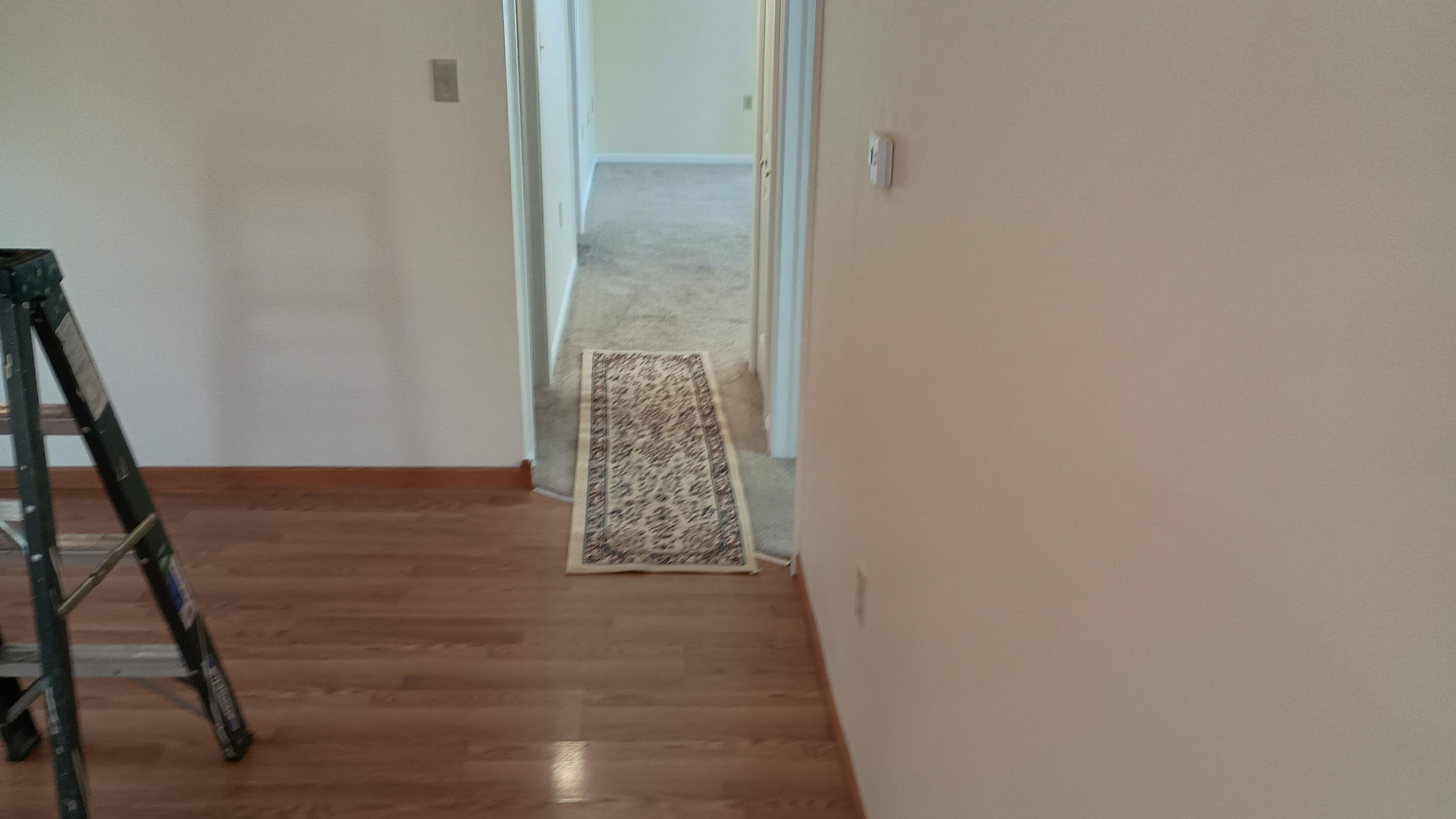 28230 Waltz Road New Boston, MI 48164 - Photo 20 of 61 dining room (8)