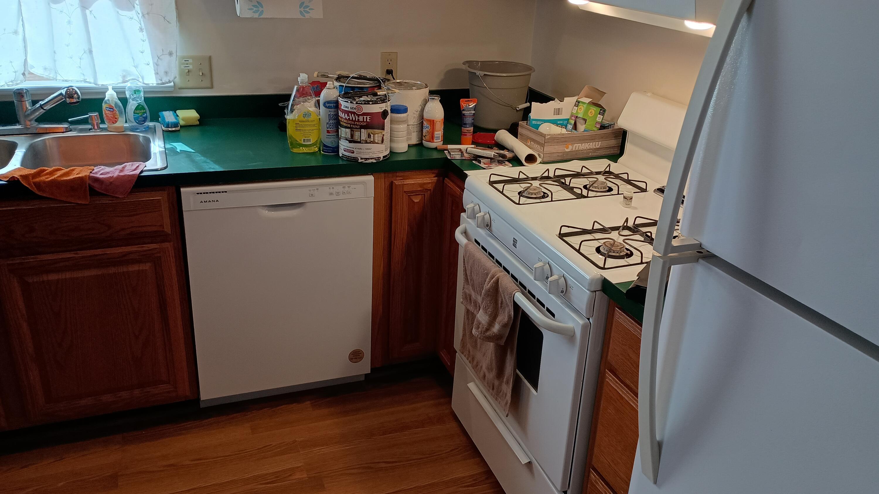 28230 Waltz Road New Boston, MI 48164 - Photo 29 of 61 kitchen (1)