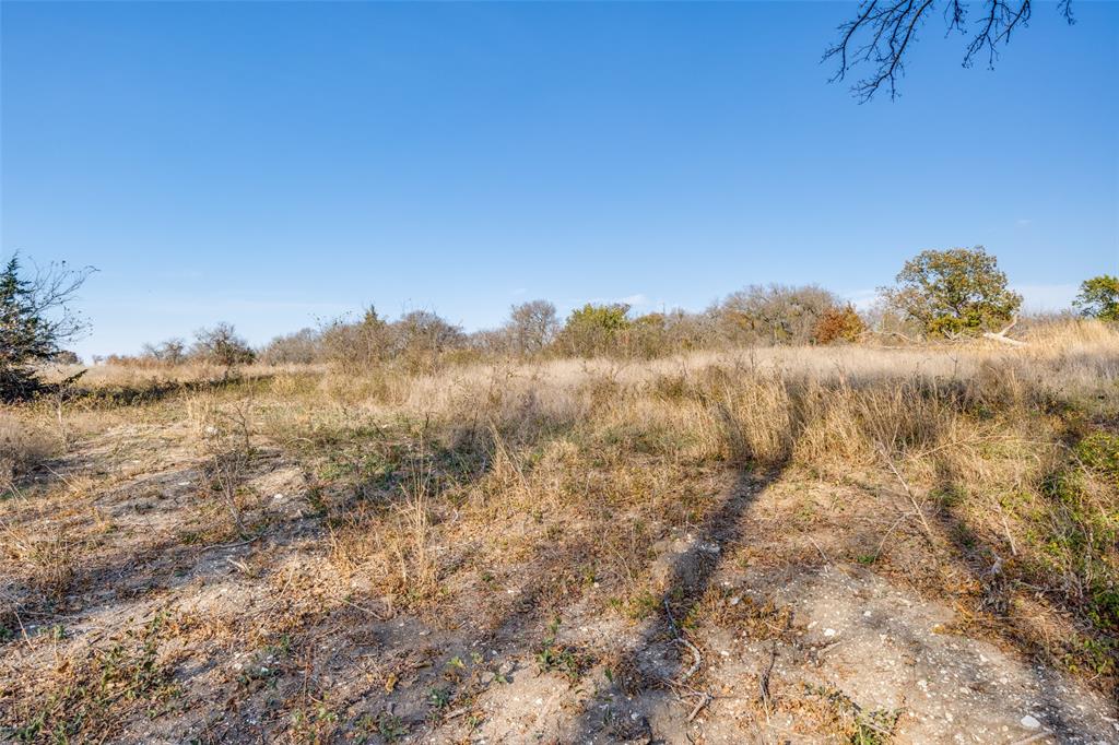 15602 Highway 160 Blue Ridge, TX 75424 - Photo 4 of 13