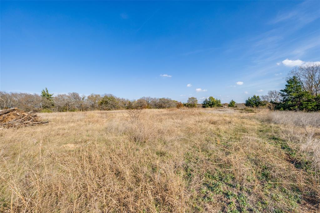 15602 Highway 160 Blue Ridge, TX 75424 - Photo 7 of 13