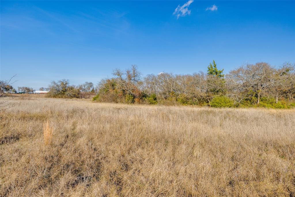 15602 Highway 160 Blue Ridge, TX 75424 - Photo 9 of 13