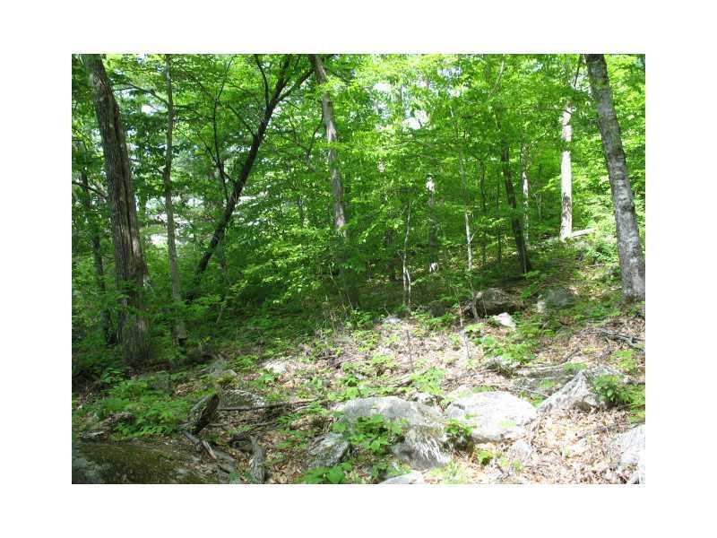 0 Moosewood Road Lovell, ME 04051 - Photo 6 of 11 Land/Lot.