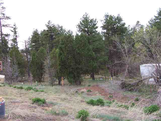 750 South Clark Road Show Low, AZ 85901 - Photo 1 of 8 Gallery Image 1