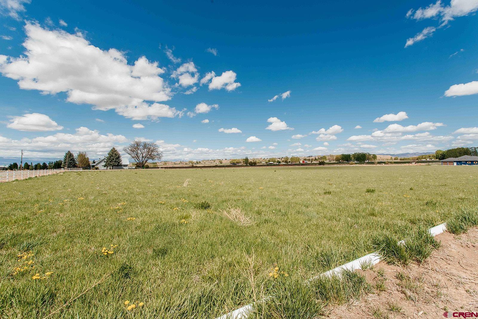 11604 5800th Road Montrose, CO 81403 - Photo 29 of 39