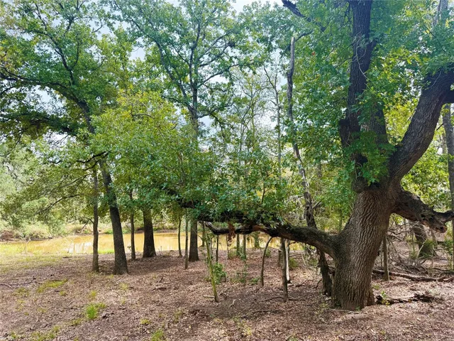 a view of a yard with a tree