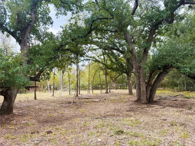 a view of outdoor space with trees