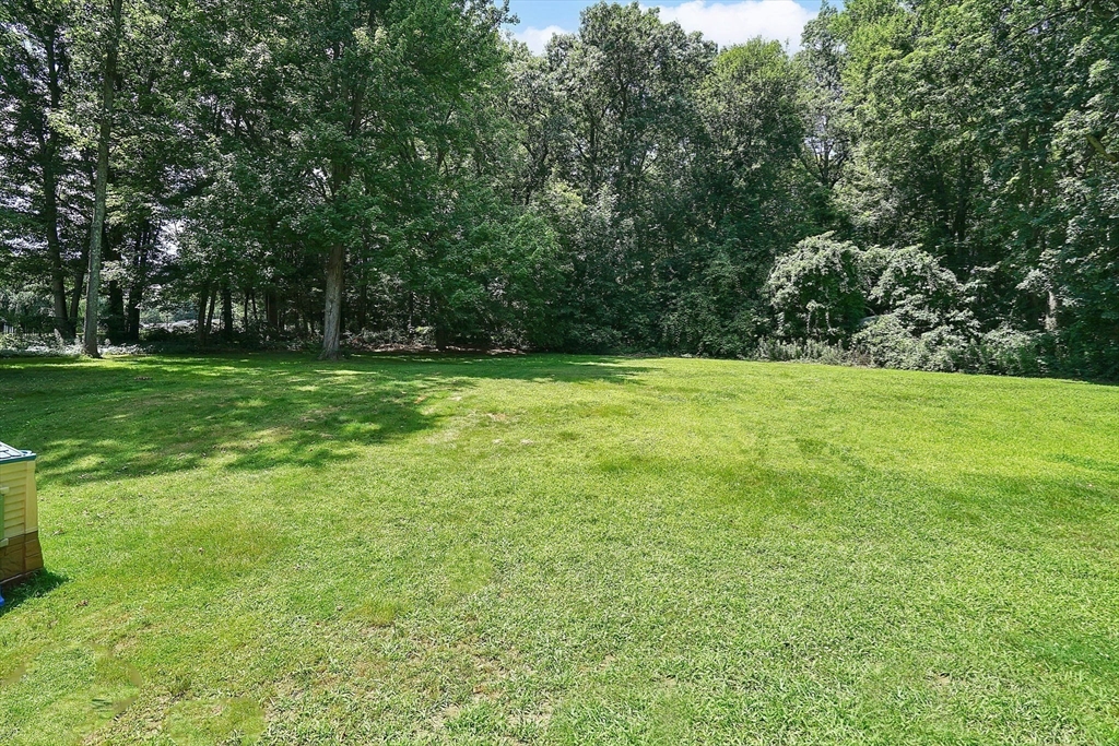 41 Brainard Road Wilbraham, MA 01095 - Photo 3 of 31 Gallery Image 3
