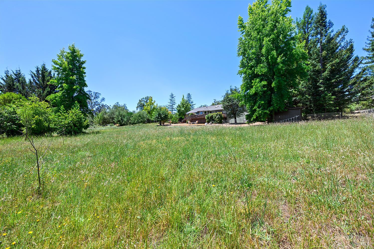 7595 Giusti Road Forestville, CA 95436 - Photo 30 of 41 a view of backyard with green space