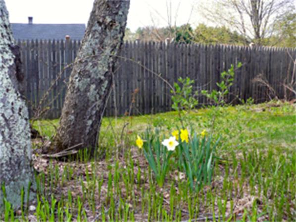 191 Spring Street Northampton, MA 01062 - Photo 8 of 10