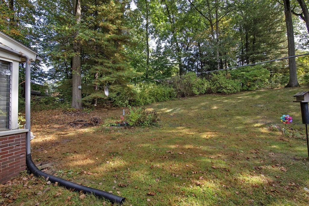151 West Allen Ridge Road Springfield, MA 01118 - Photo 6 of 30 a view of a yard with trees