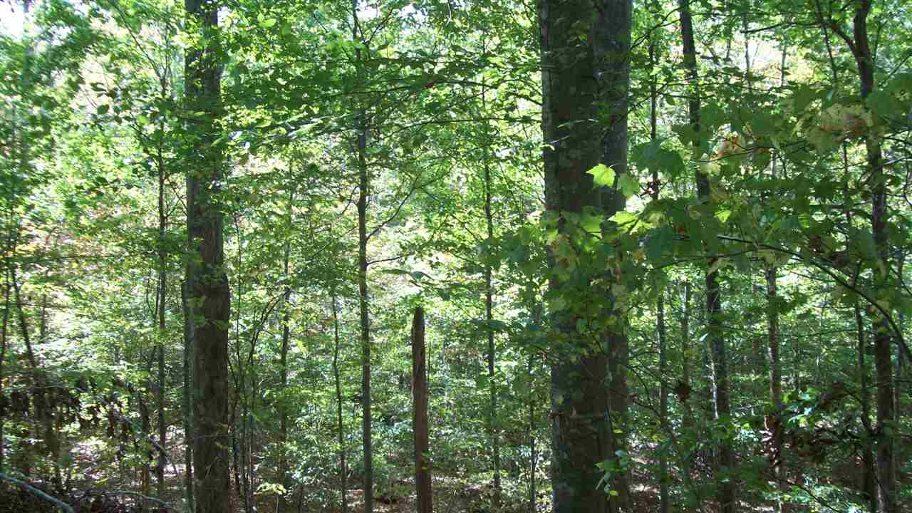 12957 Anneta Road Leitchfield, KY 42754 - Photo 26 of 34 Gallery Image 26
