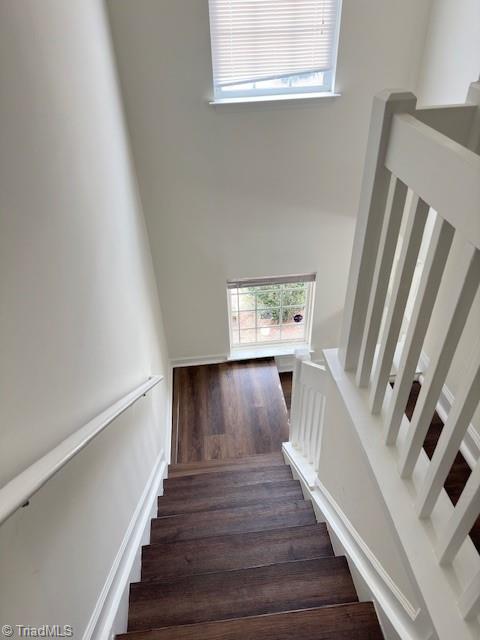 302 Mourning Dove Terrace Greensboro, NC 27409 - Photo 11 of 24