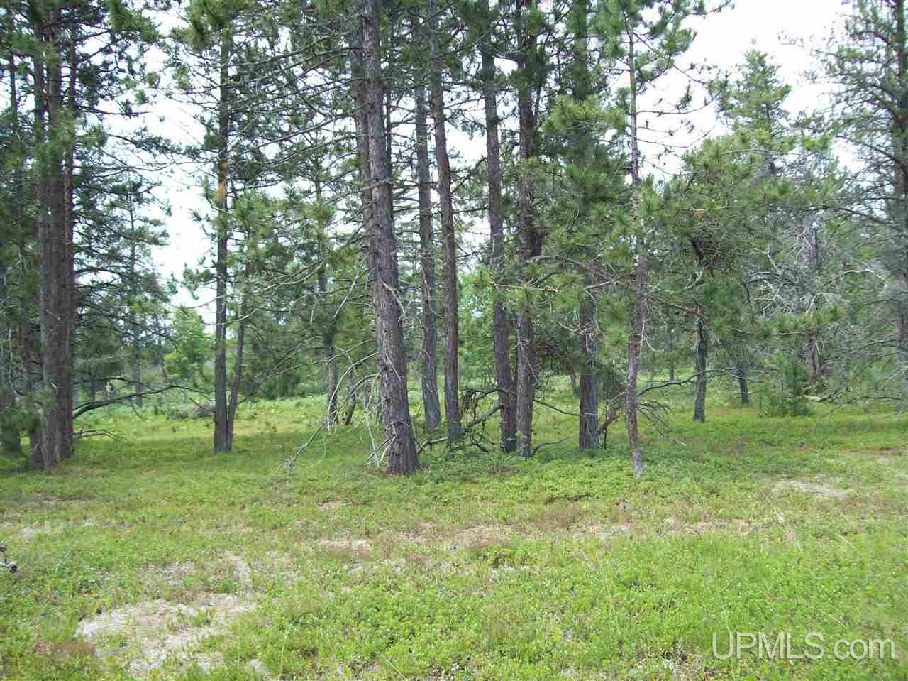 Tbd South Big Traverse Road, Unit PARCEL 37A Lake Linden, MI 49945 - Photo 7 of 11