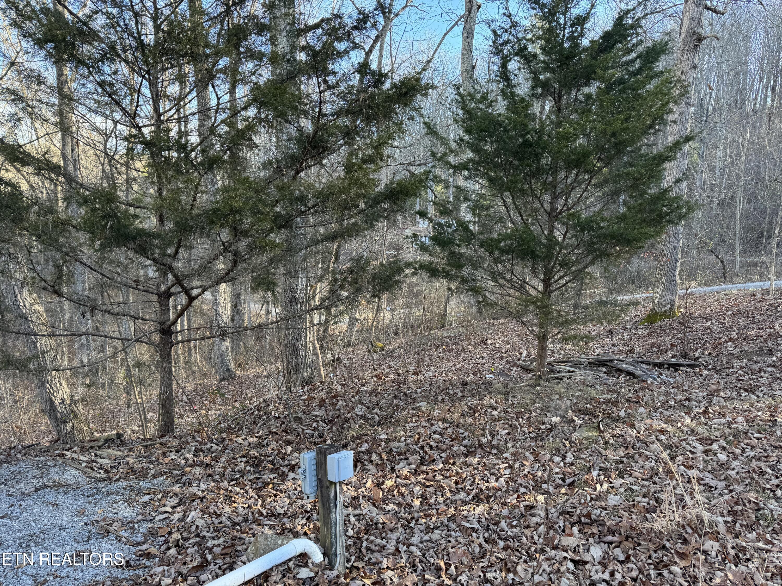 O Hickory Hollow Road Crossville, TN 38572 - Photo 1 of 1 PJ 2