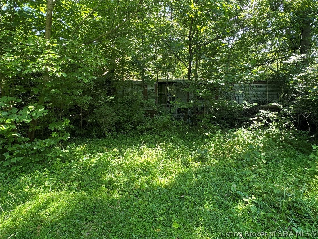 8918 Henryville Otisco Road Otisco, IN 47163 - Photo 1 of 3 Gallery Image 1