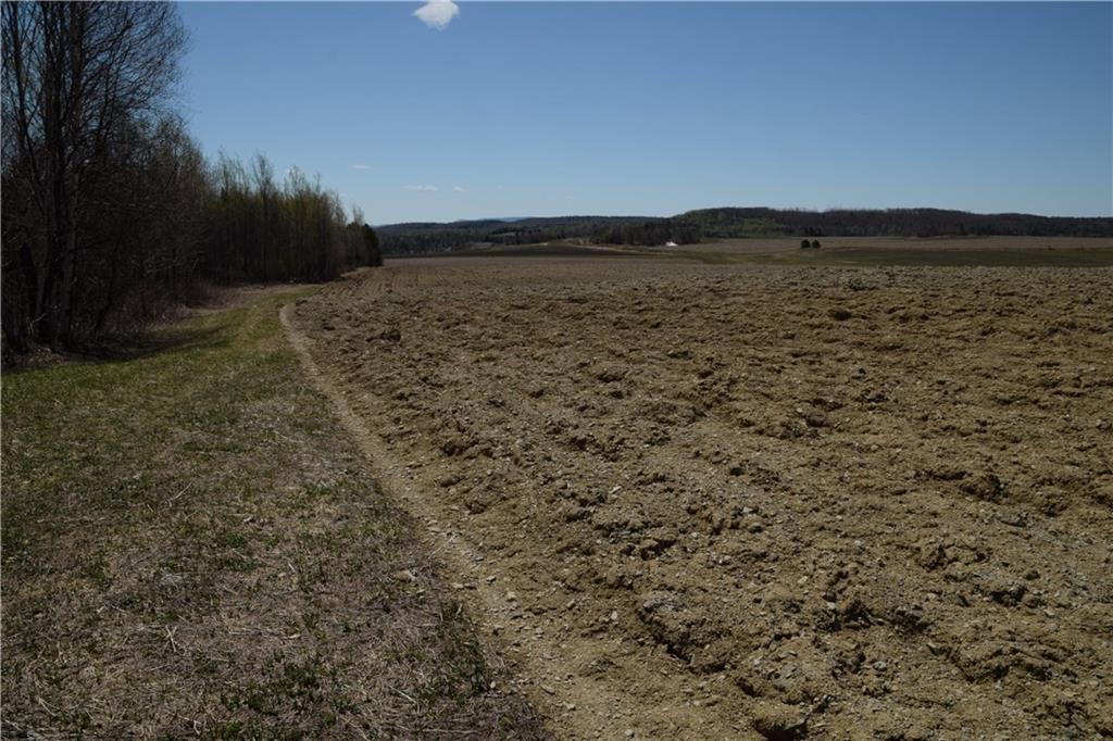 2090 Caribou Road Sinclair, ME 04779 - Photo 12 of 28 Loamy soil