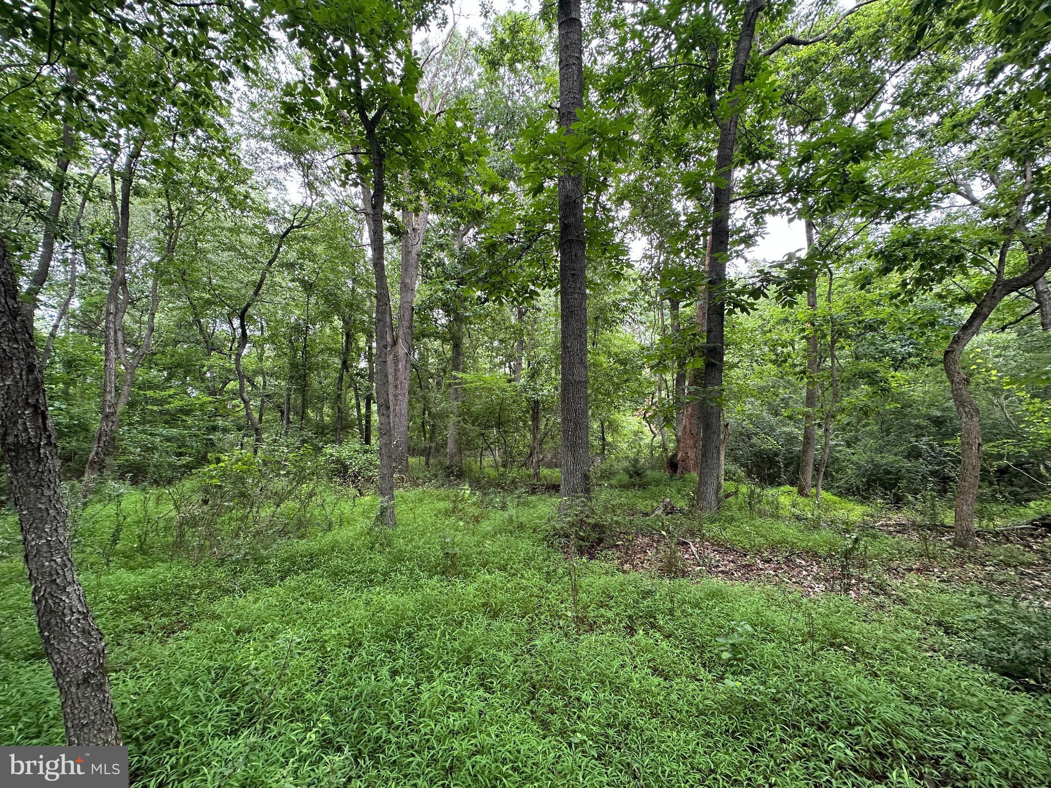 9-acres Polidor Road Waynesboro, PA 17268 - Photo 18 of 20