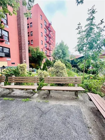 a view of yard with large tree