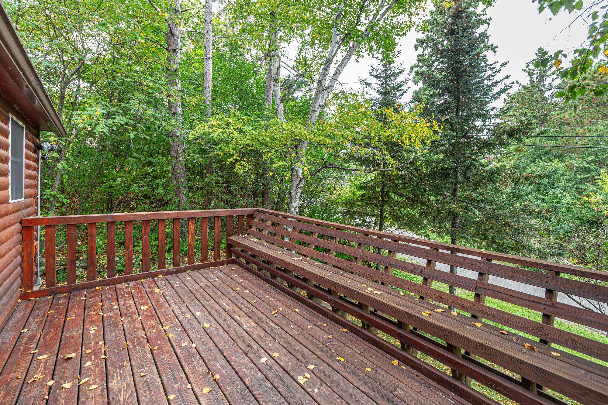 52 West Chandler Street Ely, MN 55731 - Photo 22 of 64