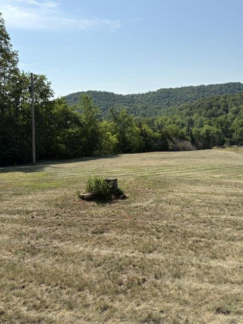 1135 Taylor Mountain Road Thaxton, VA 24174 - Photo 37 of 38 IMG_4680