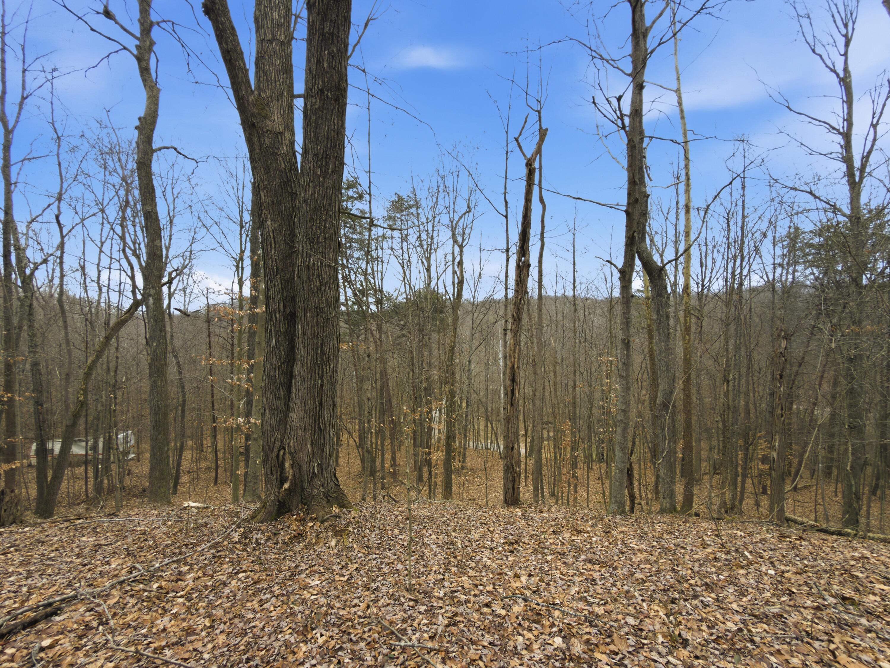 0 East Side Geer Mill Road Vinton, OH 45686 - Photo 23 of 27 IMG_4811