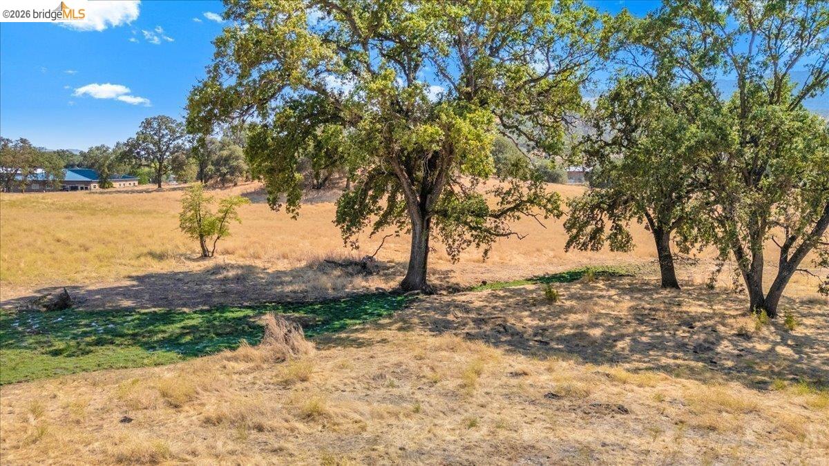 0 George Reed Drive San Andreas, CA 95249 - Photo 15 of 23 Gallery Image 15