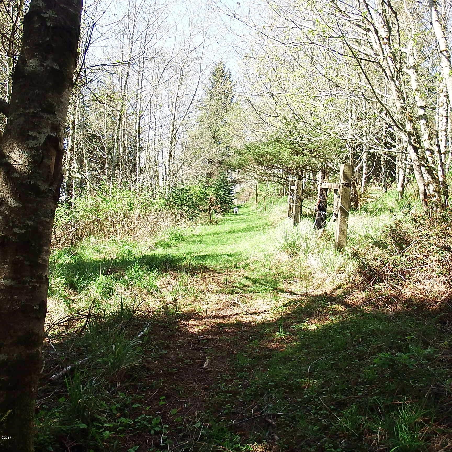 6205 Scherzinger Road Neskowin, OR 97149 - Photo 61 of 88 Fence Line North