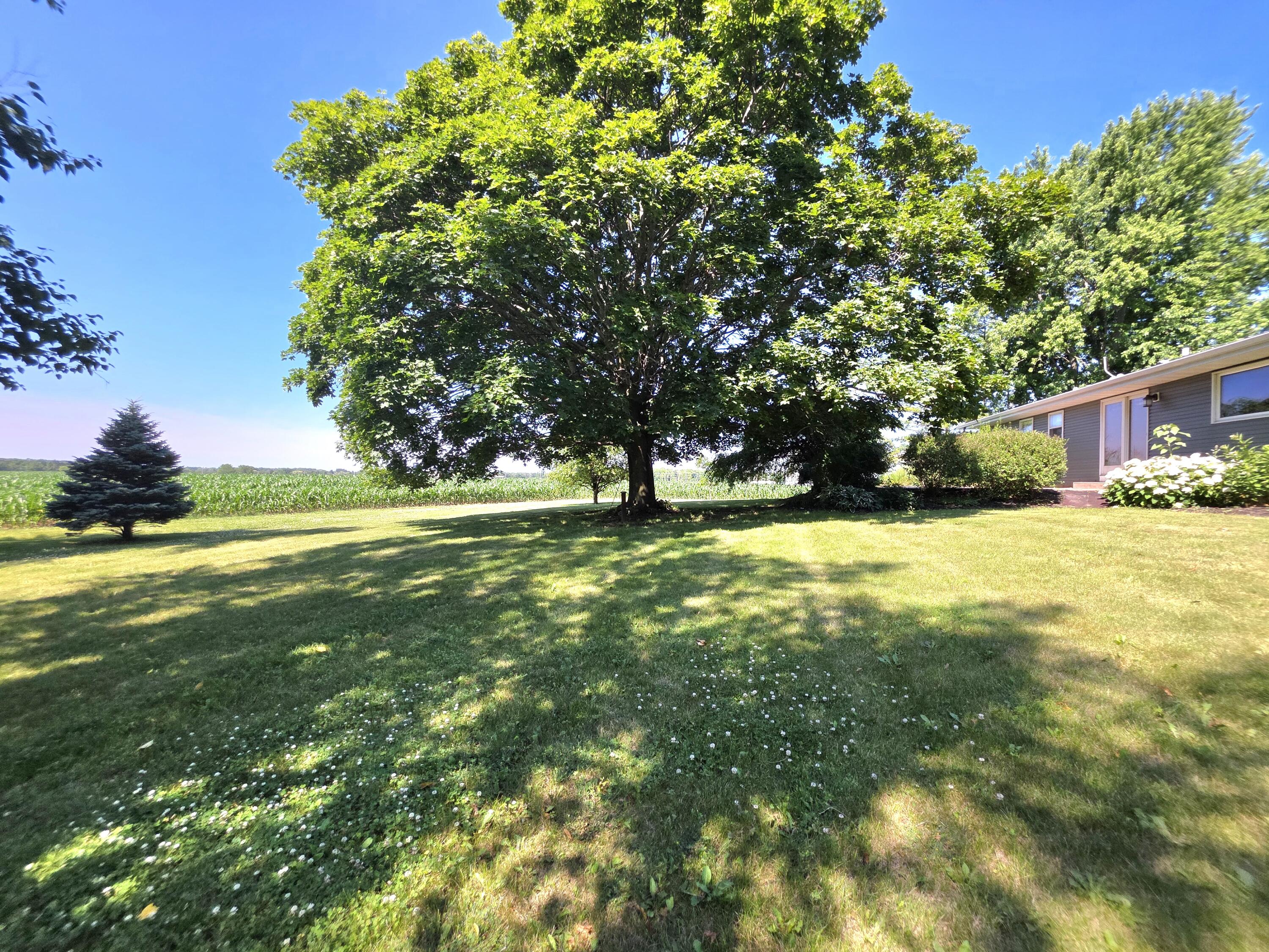 W2999 County O Road Sheboygan Falls, WI 53085 - Photo 32 of 37 Yard