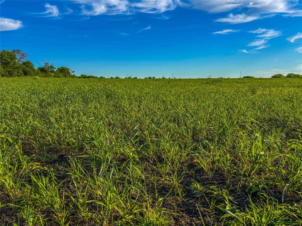 Unk Unk Valley Road Moody, TX 76557 - Photo 25 of 26 Gallery Image 25