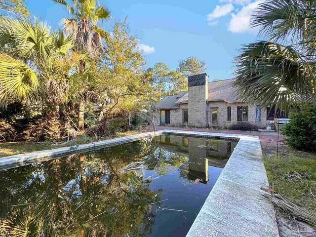 a view of swimming pool with palm trees