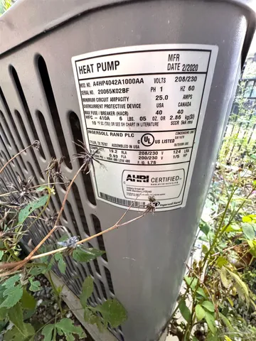 a close up of a plant