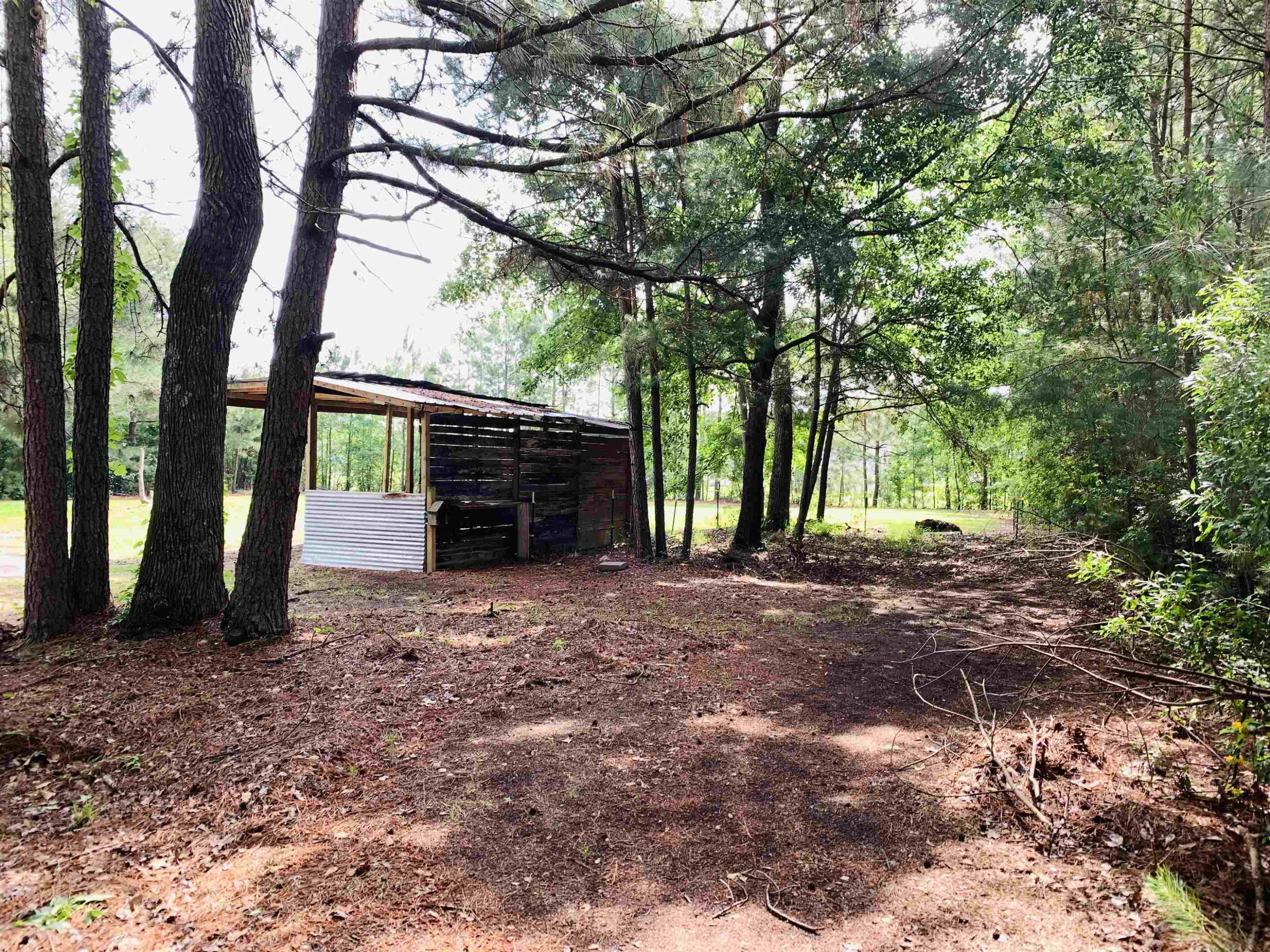 313 Gor An Farm Road Selma, NC 27576 - Photo 42 of 46 Photo 42