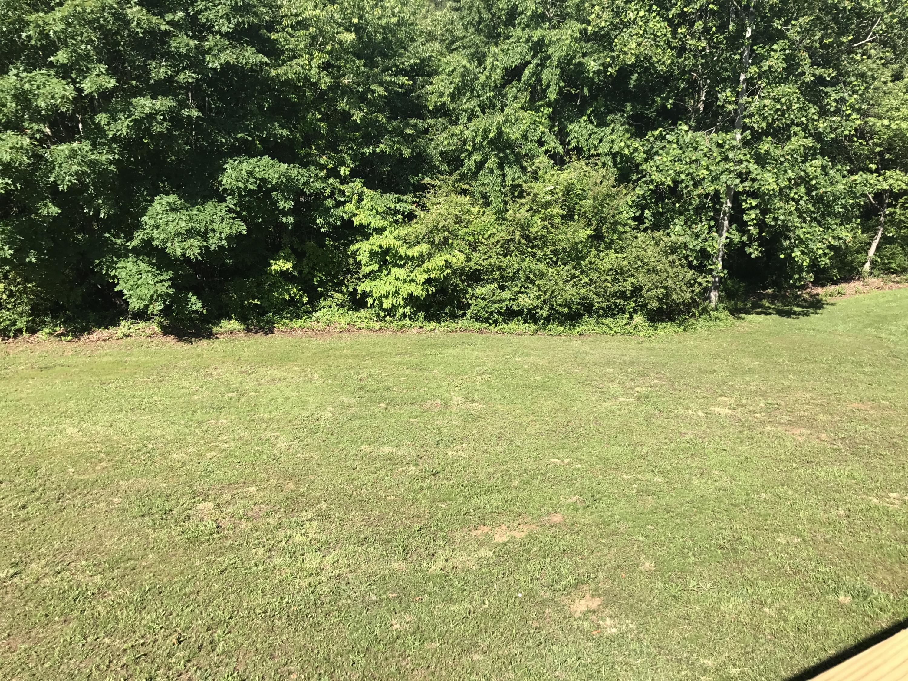 4350 Huffs Ferry Road Loudon, TN 37774 - Photo 18 of 21 18