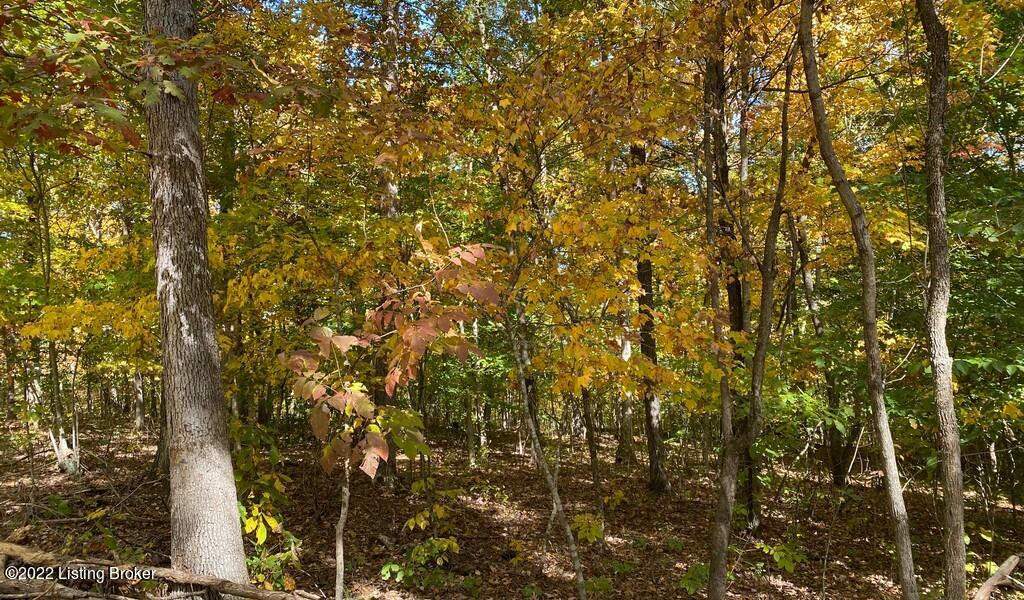 L34 Ted Logsdon Road Clarkson, KY 42726 - Photo 11 of 18 River View Fall149